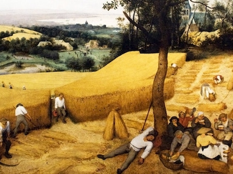 harvest