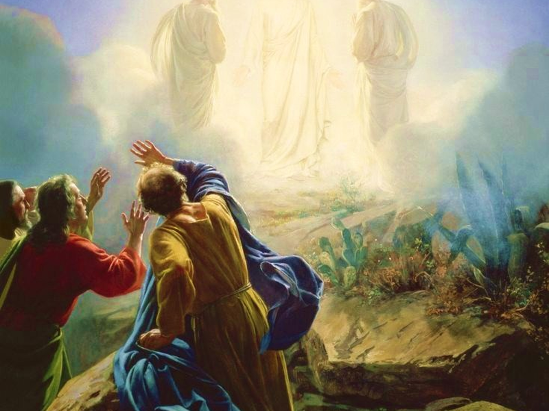 transfigurationbloch