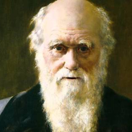 darwin