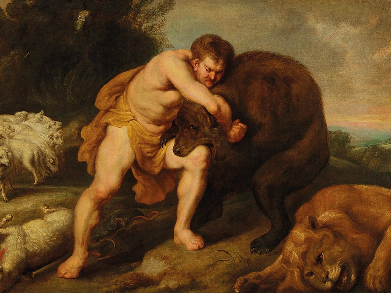 david-bear-2