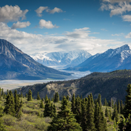 kalen-emsley-bkci_8qcdvq-unsplash-1