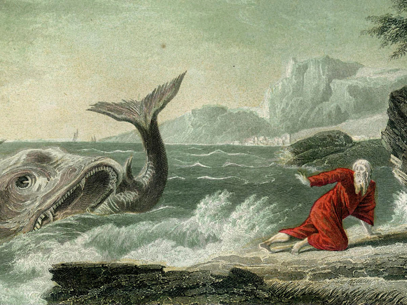 jonahwhale-1552x900