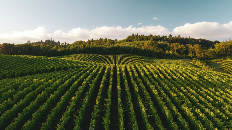 dan-meyers-0agtpoaarte-unsplash
