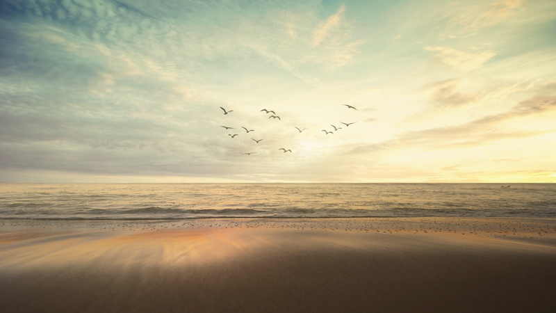 frank-mckenna-cseckew4tm0-unsplash