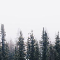 ian-keefe-mdteilh1czy-unsplash