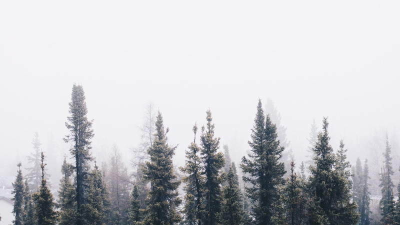 ian-keefe-mdteilh1czy-unsplash