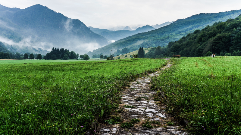 lili-popper-lu15z1m_kfm-unsplash