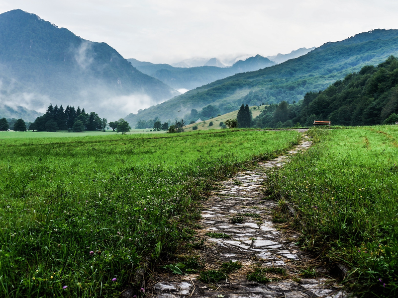lili-popper-lu15z1m_kfm-unsplash