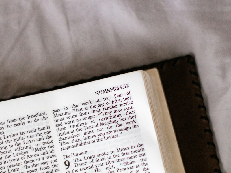 sincerely-media-gf0ngcju5lw-unsplash