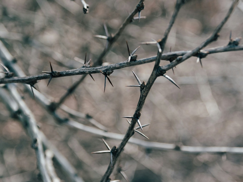 kelly-sikkema-aageorr0iqs-unsplash