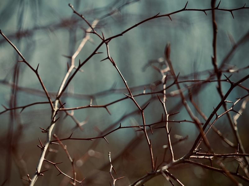 kevin-butz-ona0c3vqoae-unsplash