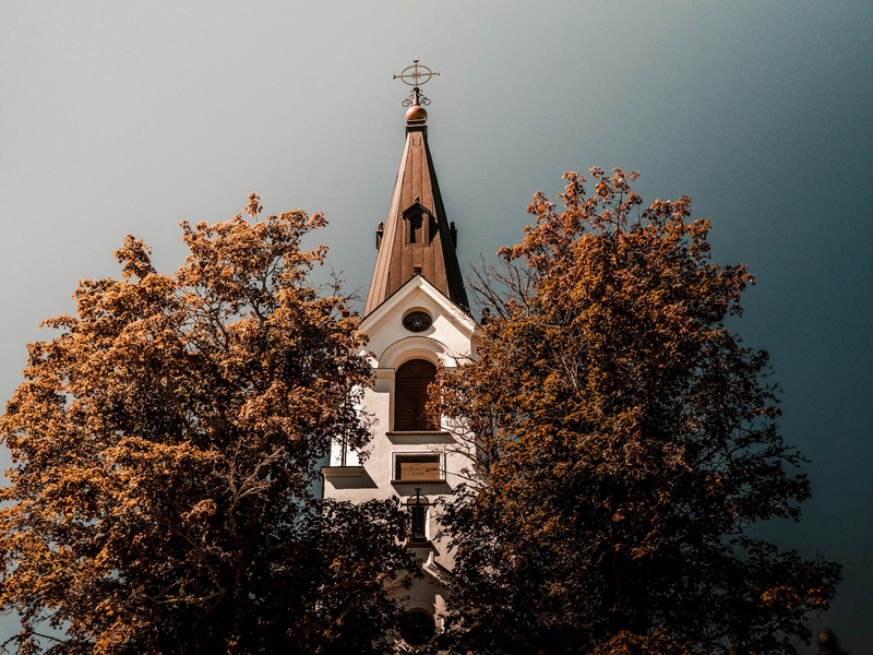 frederik-falinski-tqutu2dvfeg-unsplash